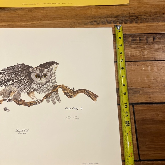 Vintage Gene Gray print the screech owl signed print - Picture 5 of 7
